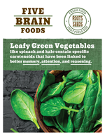 Brain Foods - Green Leafy Vegetables